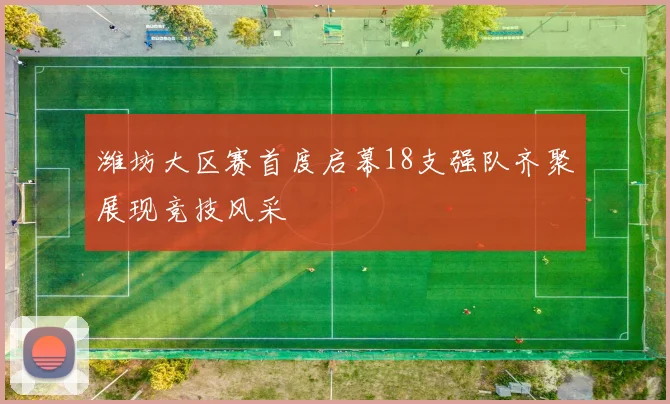 潍坊大区赛首度启幕18支强队齐聚展现竞技风采